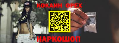 гашик Ирбит