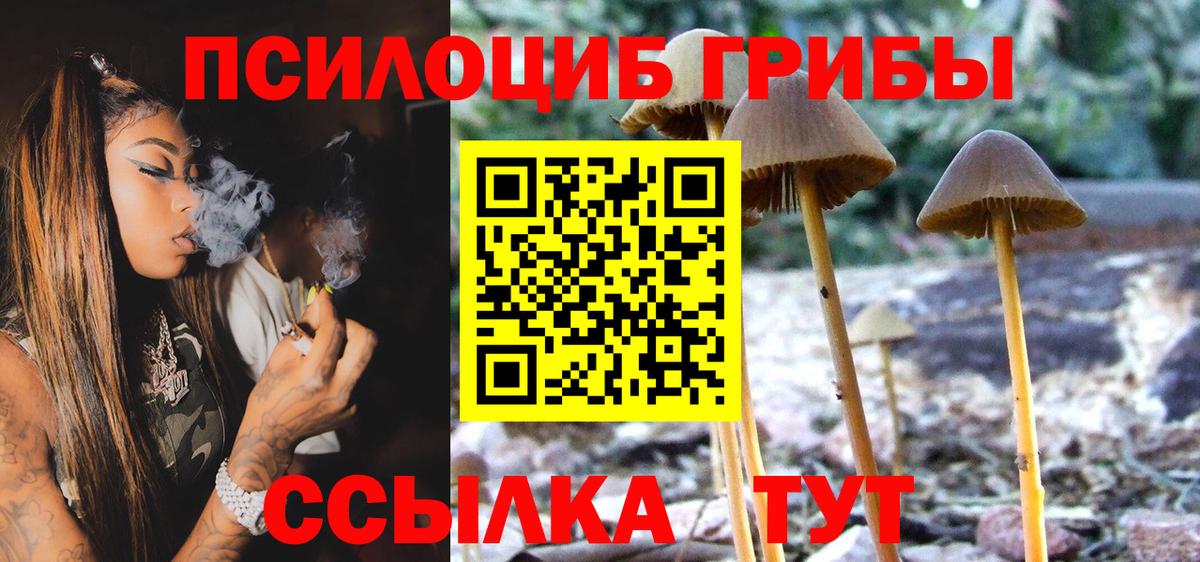 Галлюциногенные грибы MAGIC MUSHROOMS  Вход с VPN  Псилоцибиновые грибы мухоморы  где продают наркотики  Красноярск 
